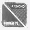CHONG YI