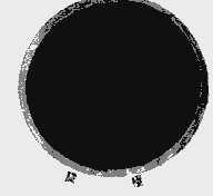 旋极