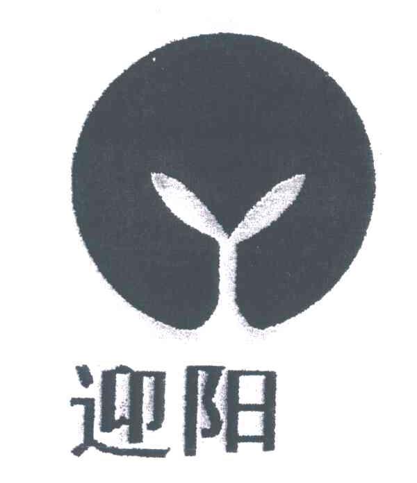 迎阳
