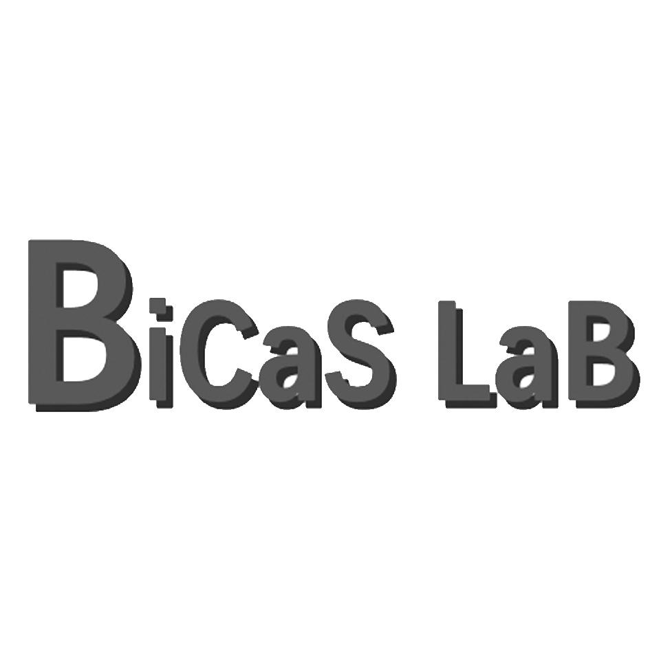 BICAS LAB