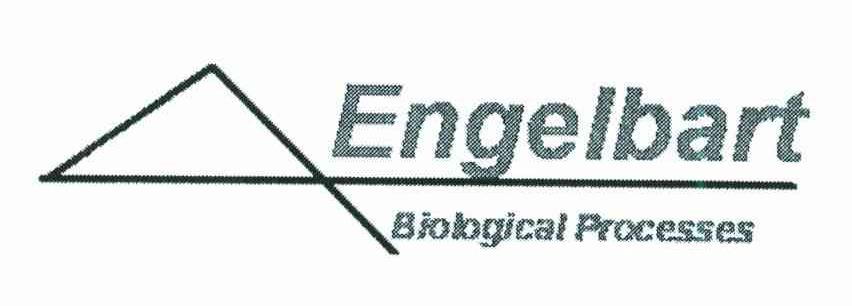 ENGELBART BIOLOGICAL PROCESSES