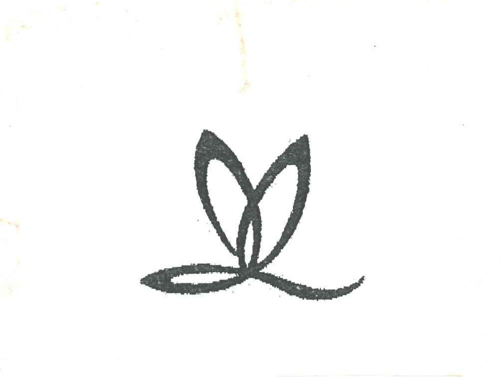 图形