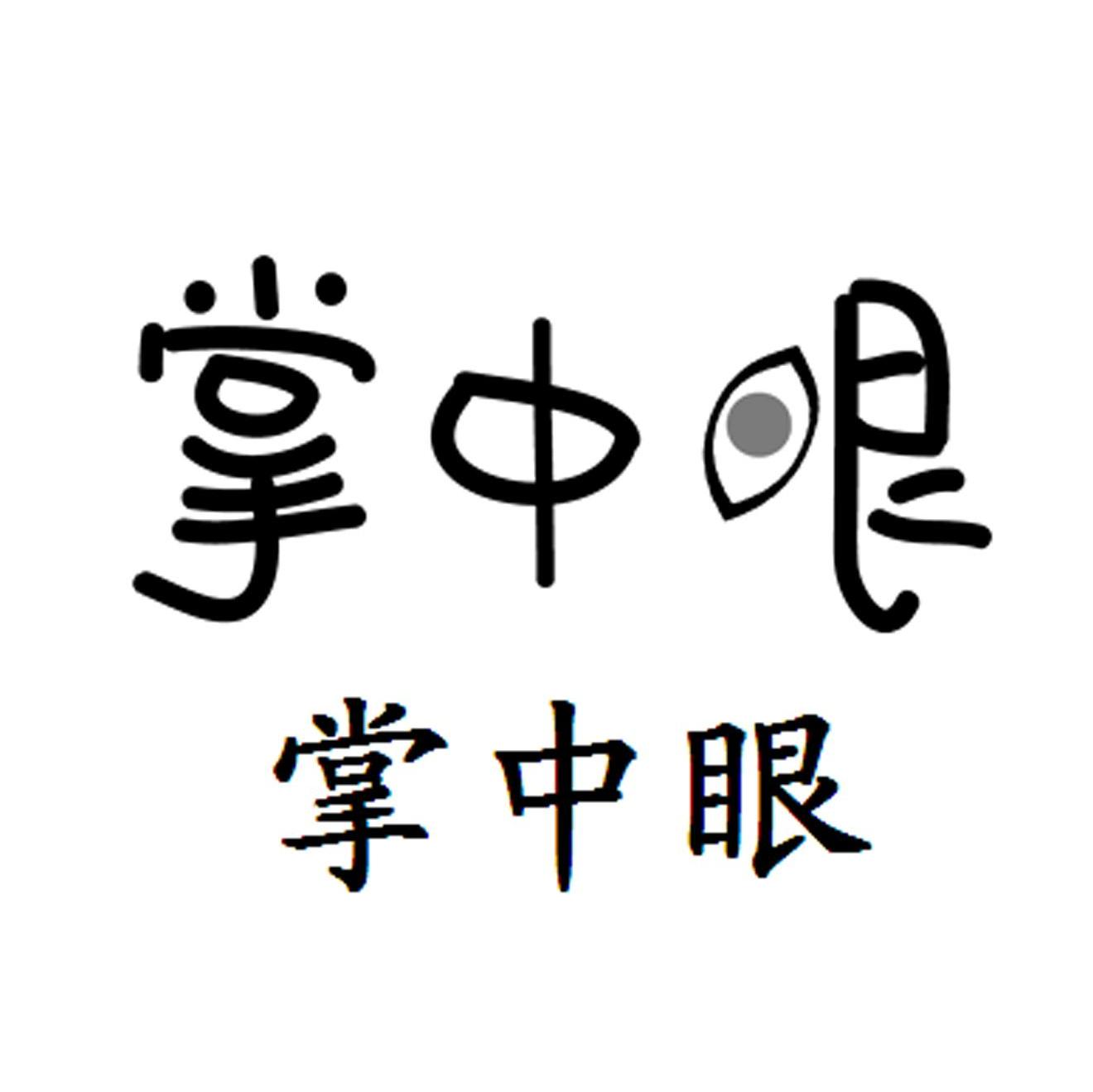 掌中眼
