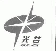 光谷;OPTICS VALLEY