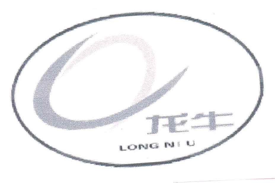 龙牛;LONG NIU