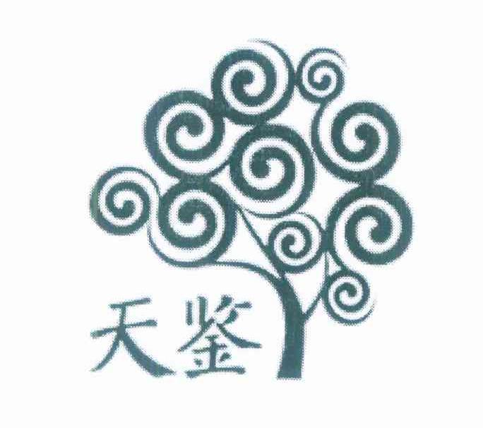 天鉴