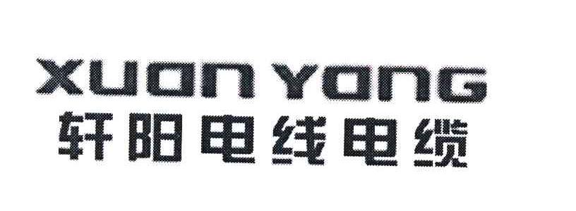 轩阳电线电缆 XUAN YANG