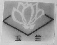 玉兰