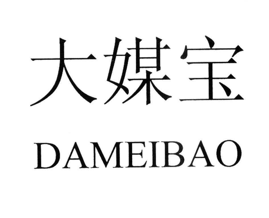 大媒宝