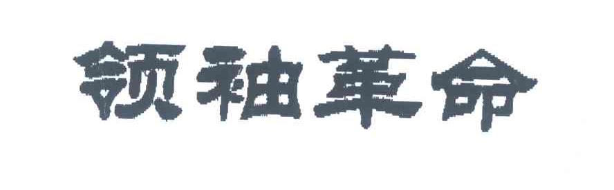 领袖革命