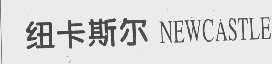 纽卡斯尔   NEWCASTLE