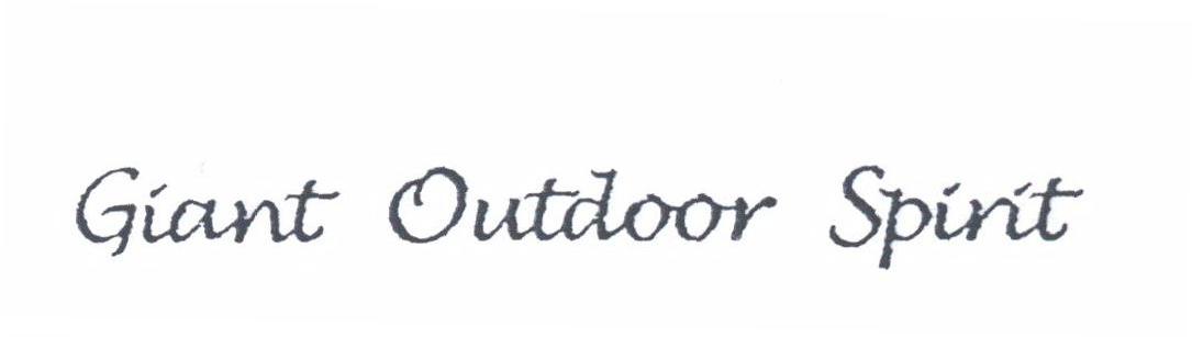GIANT OUTDOOR SPIRIT