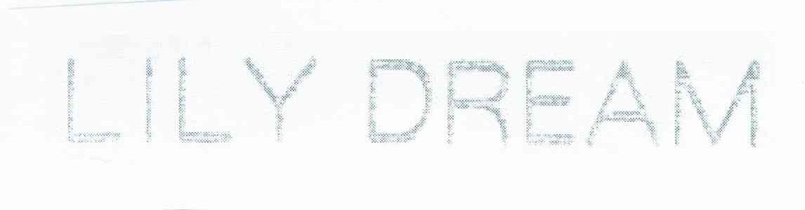 LILY DREAM