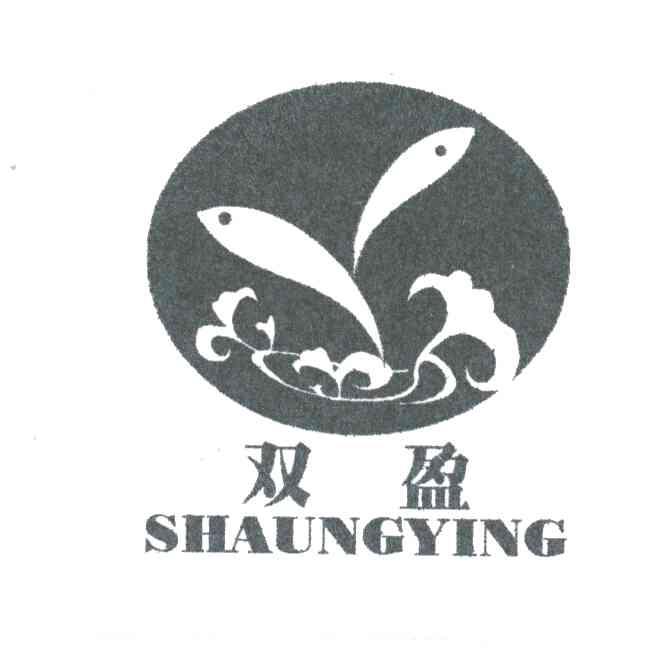 双盈