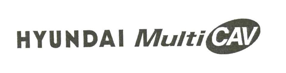 HYUNDAI MULTICAV