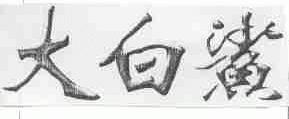 大白鲨