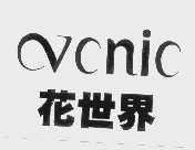 花世界   VCNIC