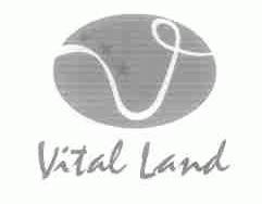 VITAL LAND