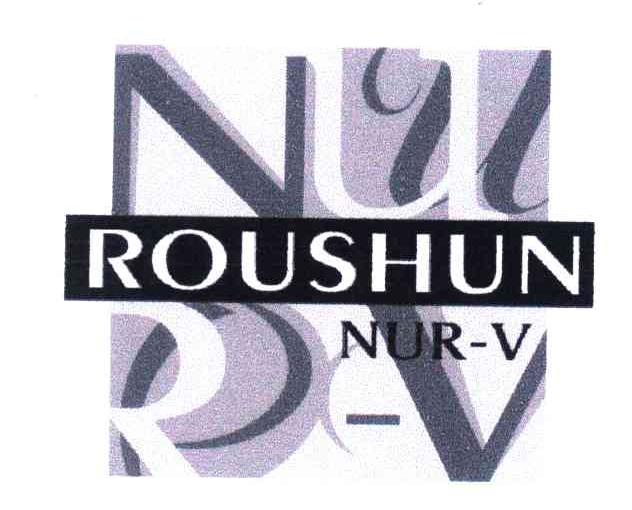 ROUSHUN NUR-V