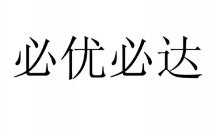 必优必达