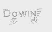 多威   DOWIN