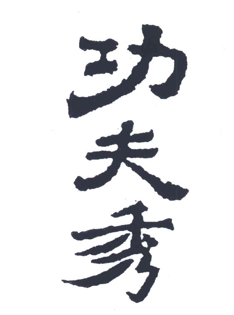 功夫秀