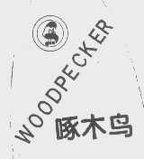 啄木鸟   WOODPECKER