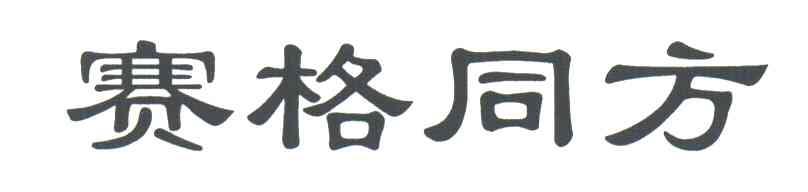 赛格同方