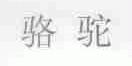 骆驼
