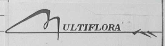 MULTIFLORA