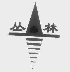 丛林