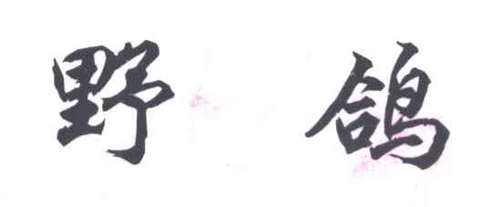 野鸽