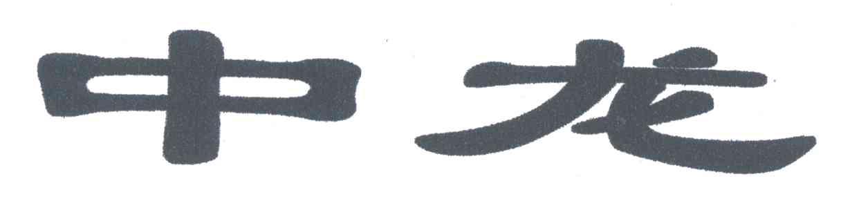 中龙