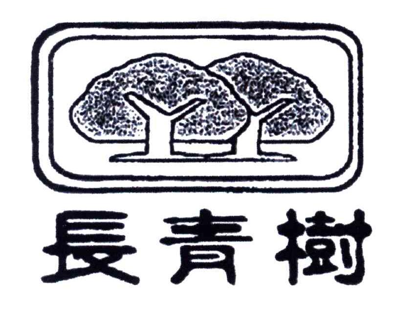 长青树