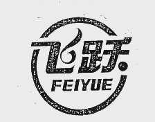 飞跃   FEIYUE