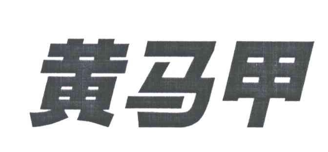 黄马甲