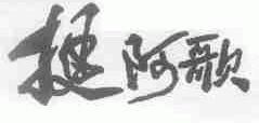 挺阿歌