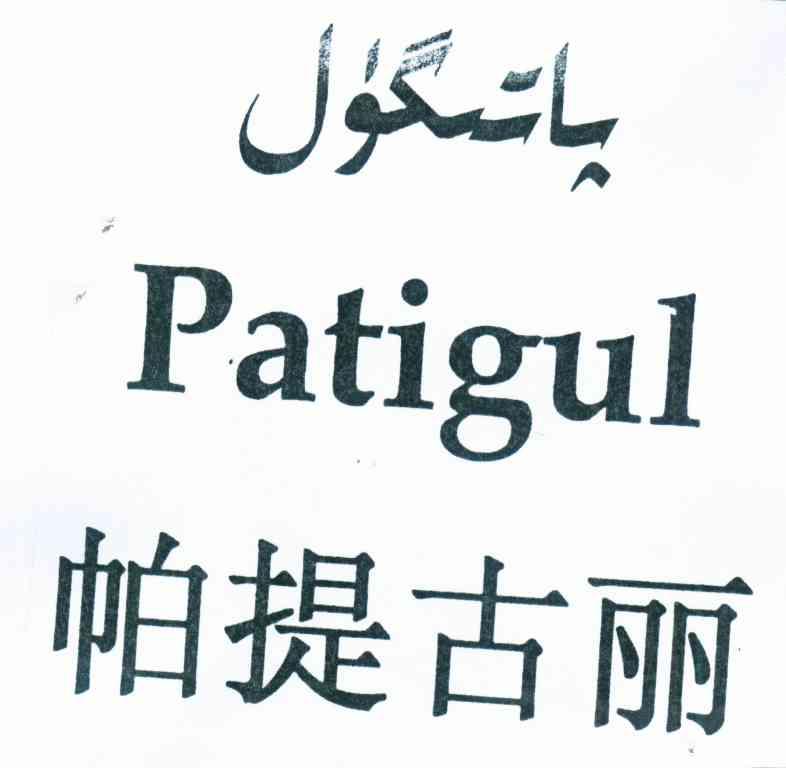 帕提古丽 PATIGUL