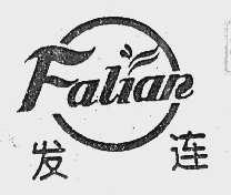 发连