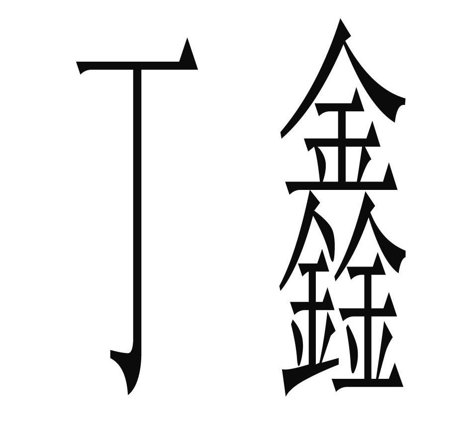 丁鑫