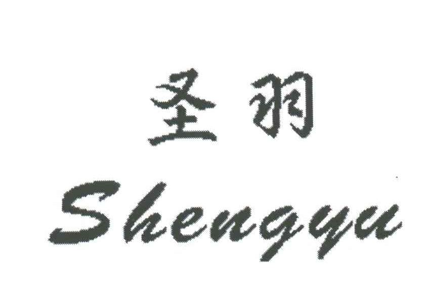 圣羽