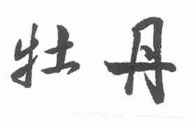 牡丹