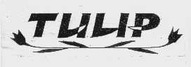 TULIP