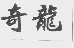 奇龙