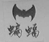 蝙蝠