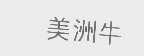 美洲牛