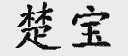 楚宝