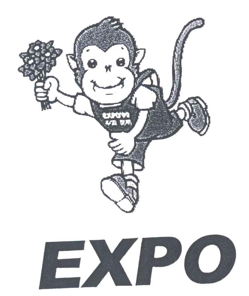 EXPO 及图