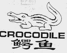 鳄鱼 CROCODILE