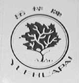 岳桦